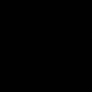 Meet your Posher, Bert